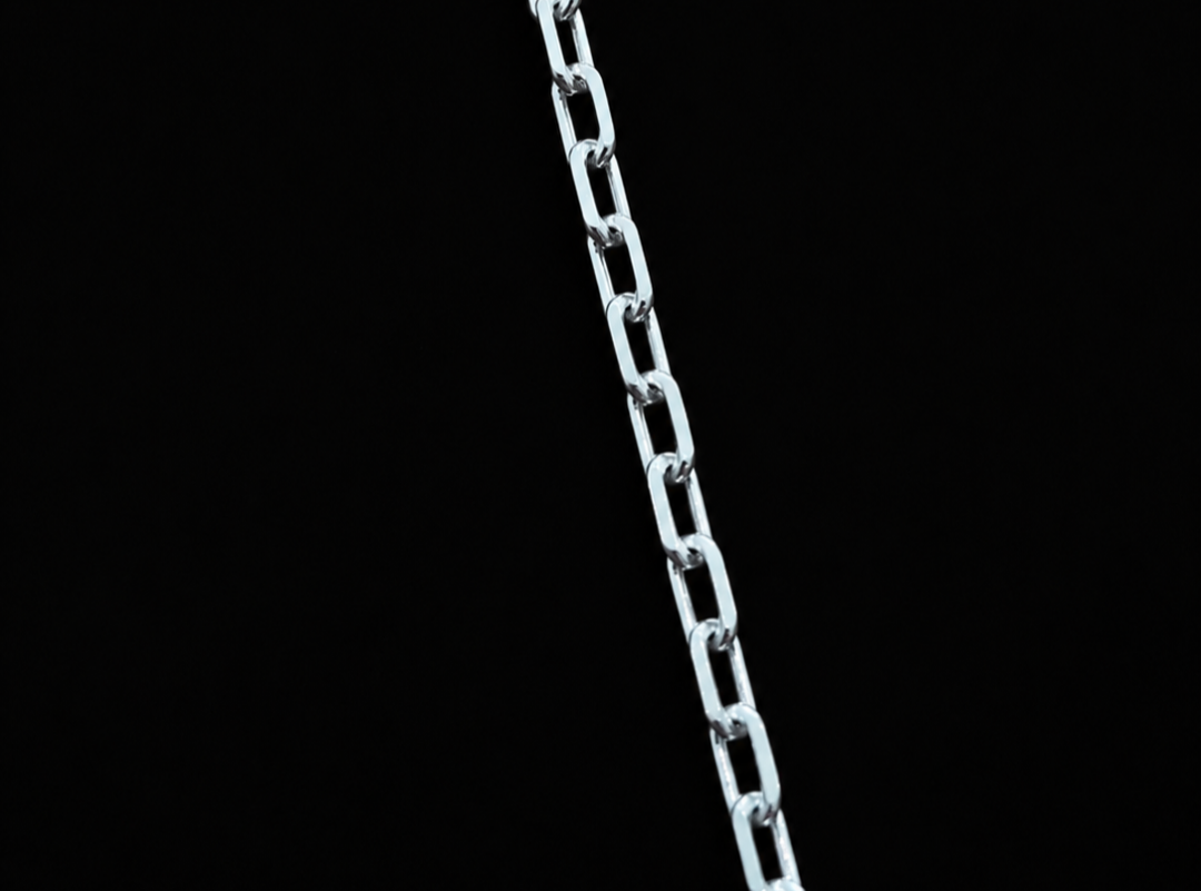 Anchor Chain Necklace 2.9mm 55cm (Medium)